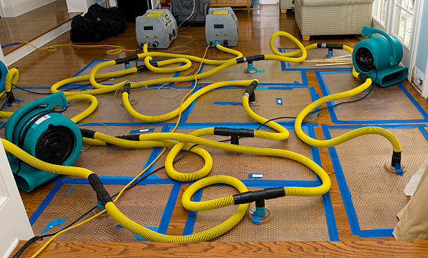 Professional Structural Drying And Dehumidification technician working in Knapp, WI
